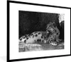 MuchoWow® MuchoWow® Gerahmtes Poster Panther - Schwarz - Produktbild-Vorschau 1