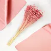 Flachs Getrocknete - (Leinen) - Rosa Produktbild-Vorschau 6