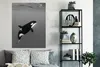 MuchoWow® Poster Orca - Wasser - Tiere 90x120 cm - Produktbild-Vorschau 4