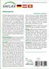 SAFLAX  - Orzo crinito - 70 semi - Hordeum Anteprima dell’immagine prodotto 6