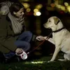 Flexi Vario LED Lighting System - lampe de poche pour Voir les images du produit 4