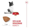 Royal Canin X-Small Puppy, Dorosły, Drób, 1,5 kg Podgląd zdjęcia produktu 4