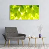 Glasbilder 120x60 Wandbild Druck auf Glas Blätter Pflanzen Produktbild-Vorschau 3