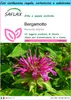 SAFLAX Set regalo - Bergamotto - 20 semi - Monarda Anteprima dell’immagine prodotto 1