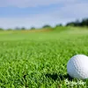 A golf ball rests on lush green grass on a golf course, with a blurred background of trees and a blue sky. Produktbild-Vorschau