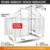 BRAST Gewächshaus Aluminium mit Fundament | 250x250x205cm | Produktbild-Vorschau 5
