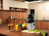 Kuvings Slow Juicer Cold Press silver REVO-830-SL REVO830SL Produktbild-Vorschau 23