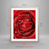 Gerahmtes Poster - Rahmen in heller Eiche - Rose Blume Produktbild-Vorschau 5