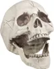 Schädel mit beweglichem Kiefer - Halloween Deko Produktbild-Vorschau 1