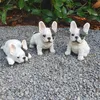 Statua da giardino Bulldog francese cucciolo Set di 3 pezzi Anteprima dell’immagine prodotto 1