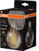 OSRAM Vintage 1906 Globe è una lampada LED dimmerabile di Anteprima dell’immagine prodotto 2