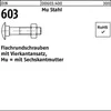Reyher  Flachrundschrauben DIN 603 Mu St. M 20 x 100 (25 Produktbild-Vorschau 1