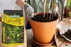 A person wearing gloves is repotting a plant into a terracotta pot using soil from a bag labeled "BIOVITA". Voir les images du produit