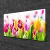 Tulup Leinwand-Bilder 100x50 Wandbild Canvas Kunstdruck Produktbild-Vorschau 2