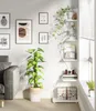 A living room corner with a shelf, a plant, and framed art on the wall. Podgląd zdjęcia produktu