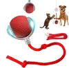 Jouet stimulant pour chiens, Balle de chasse intelligente Voir les images du produit 1