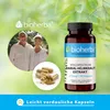 Estratto di scutellaria baicalensis a spettro completo 270 Anteprima dell’immagine prodotto 9