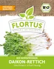 Artikelbild 6 von 'BIO Keimsprossen Daikon-Rettich' aus der Kategorie Keimsprossen Produktbild-Vorschau