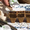 Own Grown Garten Gemüse 12er Saatgut-Set Produktbild-Vorschau 3