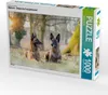 CALVENDO Puzzle Ein Motiv aus dem Kalender Malinois - Produktbild-Vorschau 1