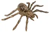 Skelett Spinne als Halloween Dekoration 24cm Produktbild-Vorschau 1