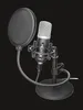 microfono TRUST GXT 252 Emita Microfono in streaming Anteprima dell’immagine prodotto 1