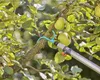 Gardena 17401-20 arbre/poignée/adaptateur pour outils à Voir les images du produit 5