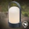 A portable LED lantern is shown outdoors in the rain. Anteprima dell’immagine prodotto