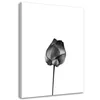 Leinwandbild blume mit stiel 40x60 cm Feeby grau wandbild Produktbild-Vorschau 1