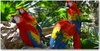 Tulup Glas-Bild -140x70- Wandkunst Dekorative Wand für Produktbild-Vorschau 1