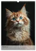 Katzen (Wandkalender 2027 DIN A3 hoch), CALVENDO Produktbild-Vorschau 5