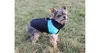 Weste Doggie Jacke für Hunde blau, L Produktbild-Vorschau 3
