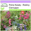 SAFLAX - Polne Kwiaty - Rośliny Cieniujące - 1000 Nasiona - Podgląd zdjęcia produktu 4