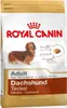 Klein Royal Canin Dachshund Adulto Pollo Arroz Aves 1,5 Kg Produktbild-Vorschau 3