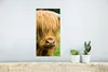 MuchoWow® Poster Schottischer Highlander - Kuhfell - Produktbild-Vorschau 5