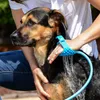 Spazzola per il bagno di cani e gatti con tubo flessibile, Anteprima dell’immagine prodotto 2