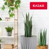 KADAX Blumentopf aus Kunststoff "Costa", mit Produktbild-Vorschau 4