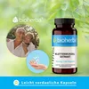 Bioherba Klettenwurzel Extrakt 300 mg 100 Kapseln Produktbild-Vorschau 7