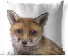 MuchoWow® Outdoor Kissen - Fuchs - Tiere - Jungtier - Produktbild-Vorschau 1