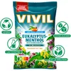 Vivil Hustenbonbons Eukalyptus-Menthol ohne Zucker 120g Produktbild-Vorschau 2