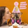 Bandana Hunde Zubehör Set Hund Geburtstag Bandana Set Produktbild-Vorschau 3