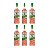 Captain Morgan Tiki Tropical Rum 6er Set 700ml, Exotischer Produktbild-Vorschau 1