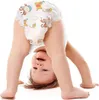 Mama Bear Mama Bär - Disney - 70 Windelhosen - Größe 5 Produktbild-Vorschau 5