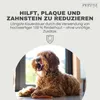 A dog is lying down in front of a window, with text overlay describing a pet product. Produktbild-Vorschau