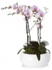 Keramische bloempot/schotel, 19 cm, wit, glanzend, rond, Productafbeelding-voorbeeld 2
