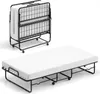 COSTWAY Letto per ospiti 90x190 cm pieghevole, letto Anteprima dell’immagine prodotto 1