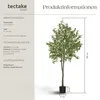 tectake® Künstlicher Olivenbaum Oleand verschiedene Größen Produktbild-Vorschau 5