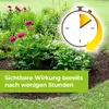 Protect Garden Permaclean Duo Unkraut & Wurzel-Ex 1 L Produktbild-Vorschau 7