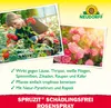Neudorff Spruzit AF Schädlingsfrei RosenSpray 750 ml Produktbild-Vorschau 4