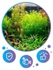 Fertilizzante per acquario Kulki gliniano torfowe, sfere Anteprima dell’immagine prodotto 7